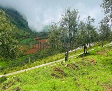 10900 sq.ft.  palani temple view gated community residential plot for sale  vilpatti kodaikanal