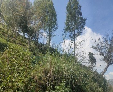 1.5 acres agriculture land for sale in vilpatti kodaikanal