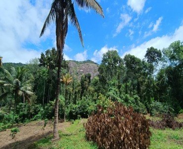 80 cents residential plot for sale in kalpetta wayanad