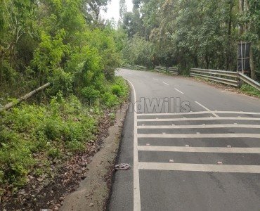 2.7 acres commerical land for sale  in matchur kodaikanal