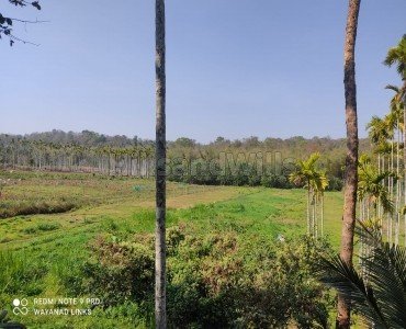 2 acres agriculture land for sale  in kenichira wayanad