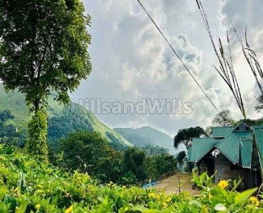 5.5 acres cardamom estate for sale in sathram, vandiperiyar idukki