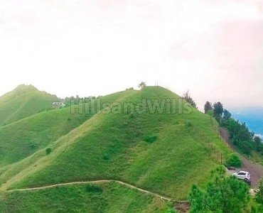 21398 sq.ft. commerical land for sale in naldehra shimla