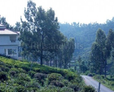 24 cents residential plot for sale  in kattabettu kotagiri