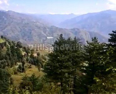 1.5 bigha  agriculture land suitable for apple orchard for sale in fagu shimla