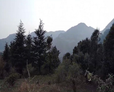 25 acres commerical land for sale in nagar palika mussoorie