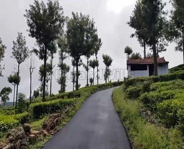 tea estate for sale  in konavakarai kotagiri