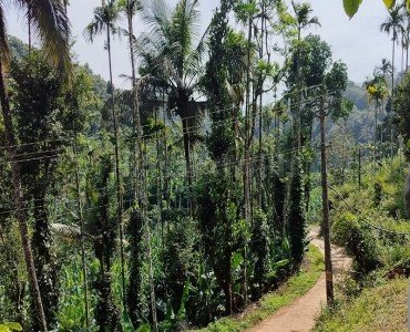 3 acres agriculture land for sale  in oddappati agali kerala