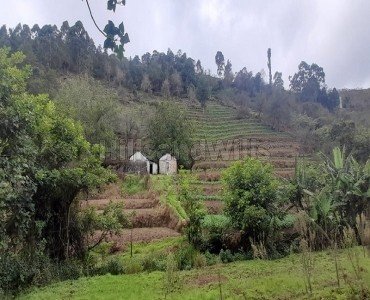 7 acres commerical land for sale  in vilpatti kodaikanal