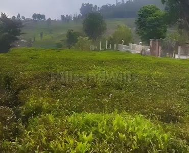 13 cents residential plot for sale in kanacombai ooty
