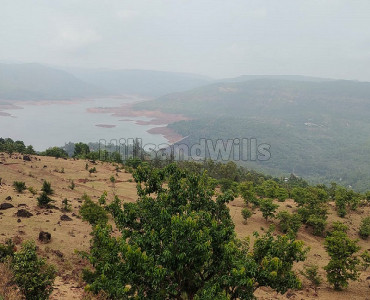 17300 sq.meter commerical land for sale in koyna dam area mahabaleshwar