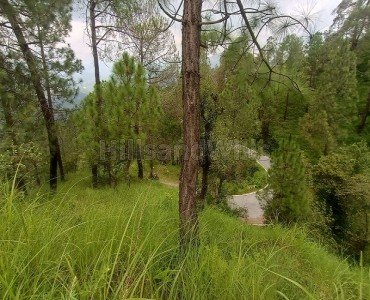 8640 sq.ft. commerical land for sale  in alomora near nainital