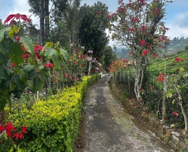 3bhk  british bungalow for sale in kotagiri