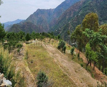 75 nali commerical land for sale in talla ramgarh near nainital