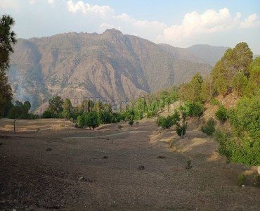 10908 sq.ft. agriculture land for sale  in mauna nainital