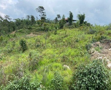 21000 sq.ft. agriculture land for sale in kalimpong darjeeling