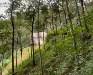 82 cents rubber estate for sale in vanchikavala idukki