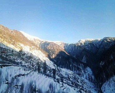 1 bigha  apple orchard for sale  in jibhi valley kullu-manali