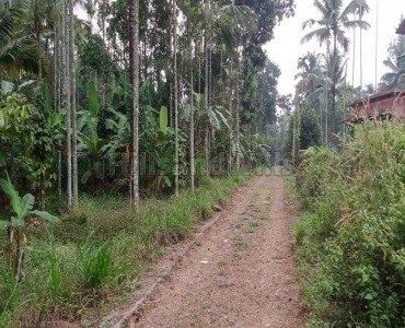 20 cents residential plot for sale in pulpally wayanad