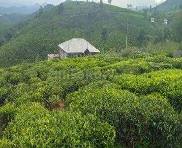 30 cents residential plot for sale  in coonoor