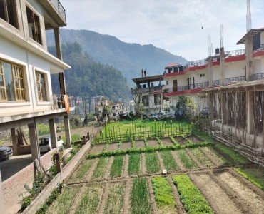 9.5 biswa agriculture land for sale  in mandi between kullu manali and shimla