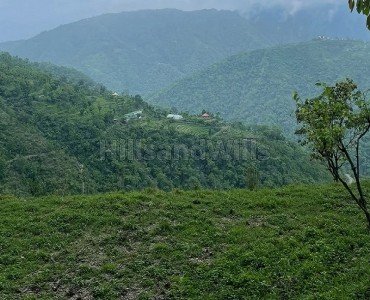 7 bigha agriculture land for sale  in itharana bhogpur dehradun