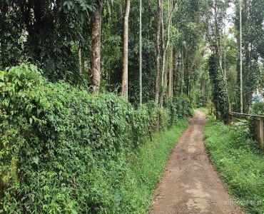 92 cents agriculture land for sale in koleri wayanad