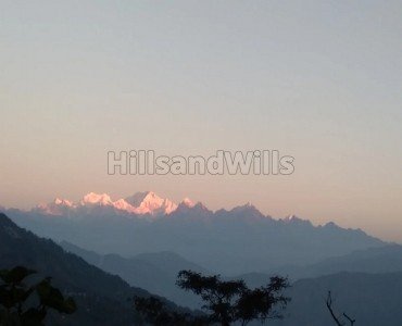 80 decimal agriculture land for sale  in dabaipani darjeeling