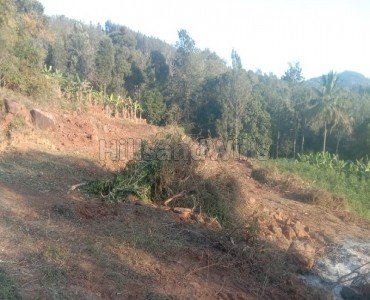 1 acres agriculture land for sale  in avarikadu kolli hills