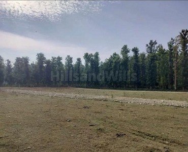 175 gaj residential plot for sale  near shivalik college dehradun