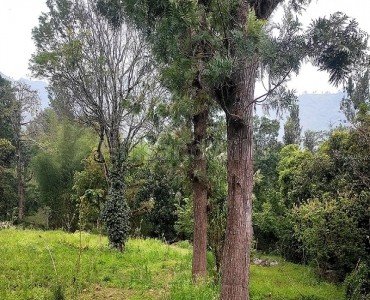 5 acres agriculture land for sale  in pallangi kodaikanal