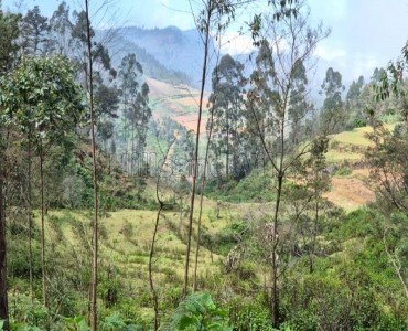 2.15 acres  panoramic view agriculture land for sale  in poombarai kodaikanal