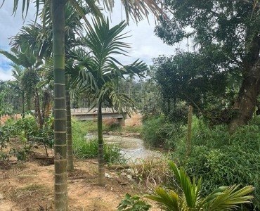 1 acres agriculture land for sale in pattavayal gudalur