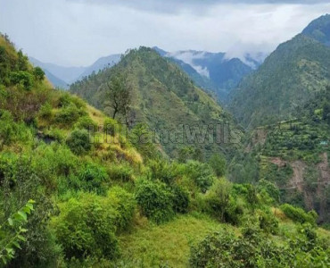 30 bigha agriculture land for sale in zalaf gussan road shimla