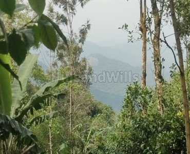 2 acres agriculture land for sale in pachalur kodaikanal