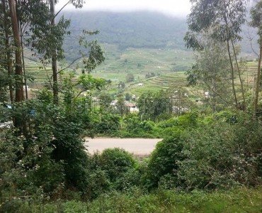 231 cents commerical land for sale in vattavada idukki