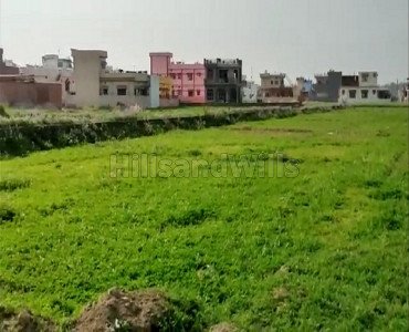 5 bigha residential plot for sale  in badonwala dehradun