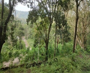 23 cents agriculture land for sale  in oothu kodaikanal