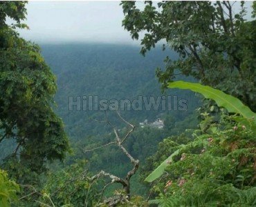 20 acres agriculture land for sale in pannaikadu kodaikanal