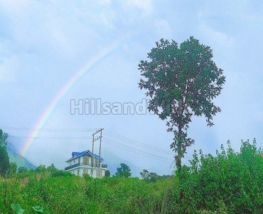 2bhk  himalayan view villa for sale  in himachal pradesh palampur