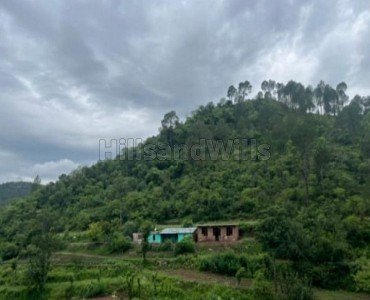 21 bigha agriculture land for sale  in dolanji solan