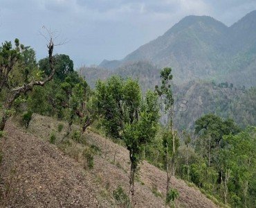 6 bigha agriculture land for sale  in dharkot thano dehradun