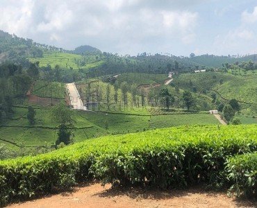 residential plot for sale in aravenu kotagiri