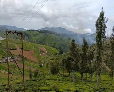 94 cents residential plot for sale  in ooty