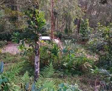 1bhk  farmhouse amidst rubber estate for sale  in anachal munnar