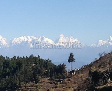 95040 sq.ft. commerical land for sale in almora near nainital