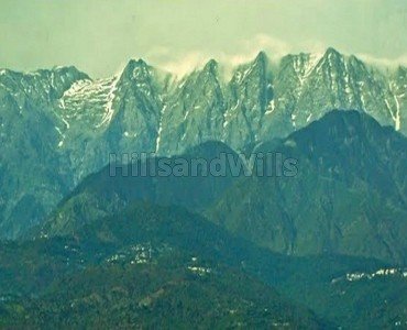 2 ares agriculture land for sale  near kangra dharamshala