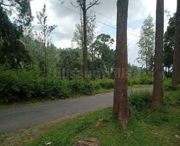 525 acres tea & coffee estate with sandal wood trees for sale  in kotagiri