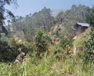 34.2 cents commerical land for sale  in anachal munnar