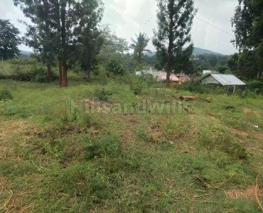 46 cents residential plot for sale in manjan kollai pudur yelagiri